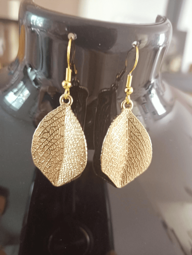 Boucles d&#039;oreilles 