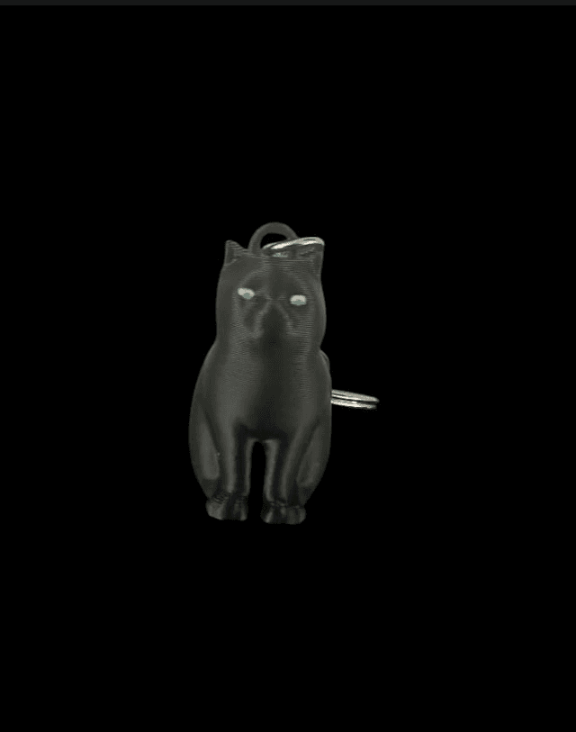 Porte clés Chat noir 